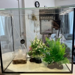魚飼育セット
