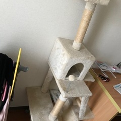 キャットタワー