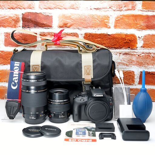 全国送料無料】 Canon EOS Kiss X7✨ショット数わずか！ カメラ