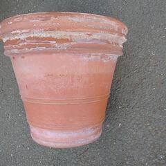 植木鉢の画像