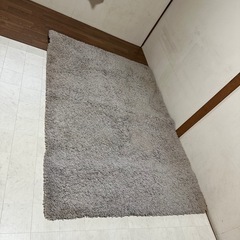 Nitoriカーペットの画像