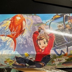 ［引退品］ポケモンカードケース&プレイマット