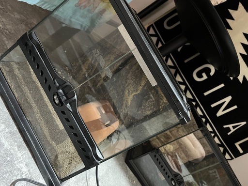 グラステラリウムと色々