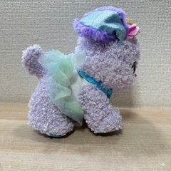 プレゼントペット レインボーフェアリーの画像