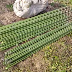 ●イボ竹支柱20mm●長さ210cm●家庭菜園・農業用に