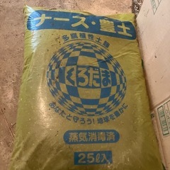 ナース豊土25ℓ×2