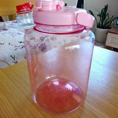 プラスチック製果実瓶