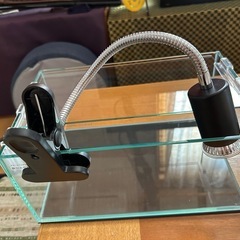 ガラスの水槽　　ヒーターライト付きの画像