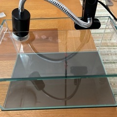 ガラスの水槽　　ヒーターライト付きの画像