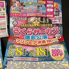 さくらサーカスチケット2枚＋チラシ1枚