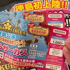 さくらサーカスチケット2枚＋チラシ1枚の画像