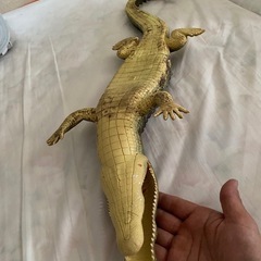 ワニのオモチャの画像