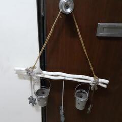 0円‼️ミニ観葉植物用
