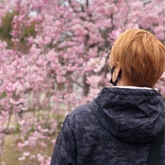 ★4/24(木)ジャンカラ心斎橋3号店でカラオケオフ会参加メンバー募集中です🎤の画像