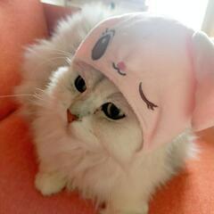 お友達募集☆