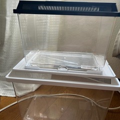 虫籠　かご