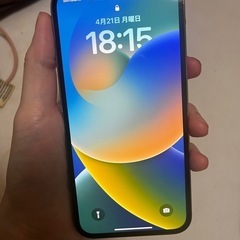 iPhone12 pro 256g
