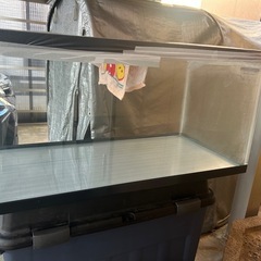 取り引き中　
大きい水槽