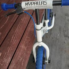 ストライダー キックバイク 自転車 (ルルナーク) 指宿の幼児用