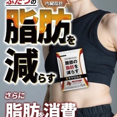 モヤセル 30粒30日 BMI が高めの方の腹部の 脂肪 を減らす [ 内臓脂肪 と 皮下脂肪 ][ ブラックジンジャー 由来の画像