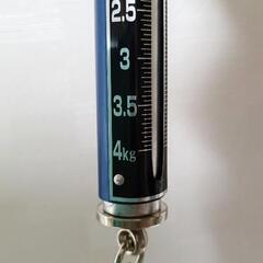 中古*ばね式手ばかり（4kg）の画像