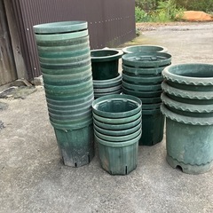 植木鉢　バラ用　値下げしました
の画像