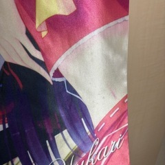 【ジャンク品】東方キャラクタータペストリーの画像