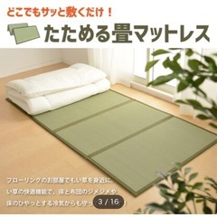 い草を使用した4つ折り畳マットレス　ニトリ