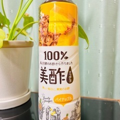 コストコ　ミチョ2本