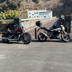 静岡県東部ツーリング仲間募集🏍️🛵 - メンバー募集