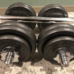 ダンベル バーベル 片方 約13kg-14kg×2 バーベル棒込...