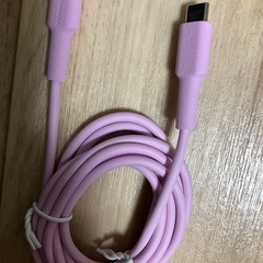 急ぎ！ Cタイプ 充電器 の画像