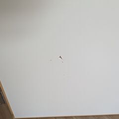 室内ドア　トイレ用？の画像