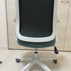 ビジネスチェア（ロッティチェア）の画像