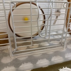 ハムスターケージ①の画像