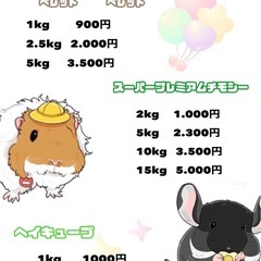 小動物 給餌品