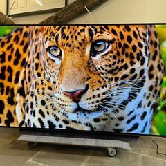 Gエレクトロニクス　77V型　OLED TV　4K有機ELテレビ...