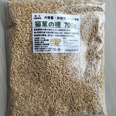 猫草の種　大量700ｇ