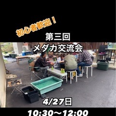 【4/27日】第三回　メダカ交流会 初心者や女性の参加者も！