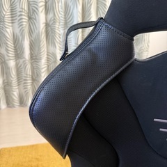 RECARO RS-G フルバケットシート GKの画像