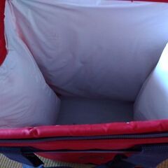 Colemanのクーラーボックスの画像