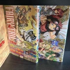 FAIRY TAIL 1〜49巻セット、おまけ2冊の画像