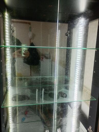 ※本文変更コレクションケース ショーケース LED点灯