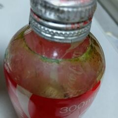 コカ、コーラダルマ瓶の画像