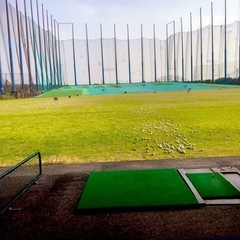 ゴルフ教えて欲しいです⛳️
