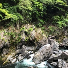 新緑の奥多摩を一緒に歩きませんか？5月ハイキング仲間募集 - スポーツ