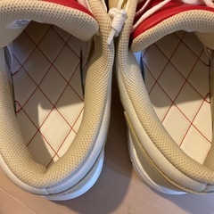 AIR JORDAN ジェイソン・テイタム × ナイキ ジョーダン　29センチの画像