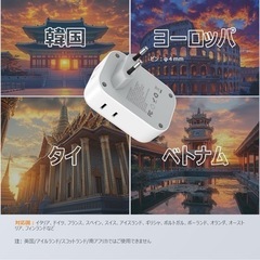 TESSAN 変換プラグ Ｃタイプの画像