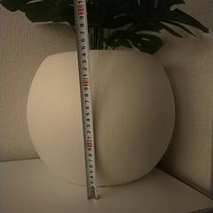 観葉植物　モンステラ　フェイクグリーン　鉢セットの画像