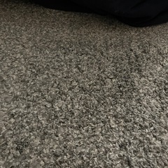 ニトリカーペット　グレー